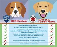 Do Emotional Support Animals Count as Pets?
