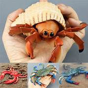How Long Does a Hermit Crab Live as a Pet?