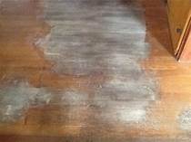 How to Clean Pet Urine from Wood Floors