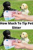 How Much to Tip a Pet Sitter