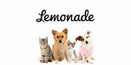How to Cancel Lemonade Pet Insurance