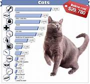 How Much Does a Pet Cat Cost?
