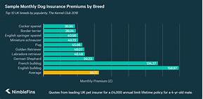 How Much Does Pet Insurance Cost a Month?