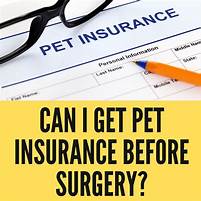 Can You Get Pet Insurance Before A Surgery?