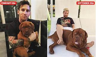 Does Messi Have Pets?