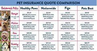 How Much is Pet Insurance for a Dog a Month?