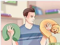 How to Dispose of a Deceased Pet