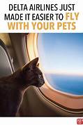 How to Add a Pet to a Delta Flight