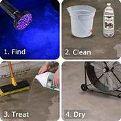 How to Get Pet Urine Out of Concrete Floor
