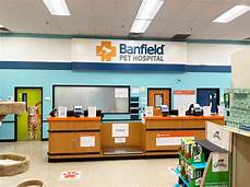Does Banfield Pet Hospital Take Walk Ins?