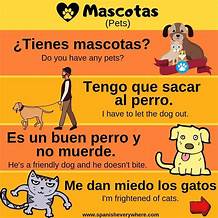 Do You Have a Pet in Spanish?