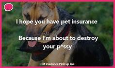 Do You Have Pet Insurance? Pick-Up Lines