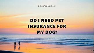 Do I Need Pet Insurance for My Dog?