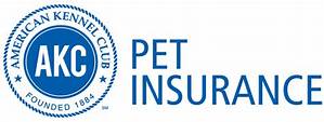How Much is AKC Pet Insurance?