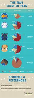 How Much Does a Pet Cost?