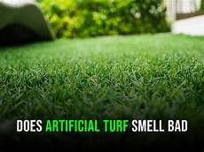 Does Turf Smell With Pets?