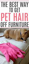 How to Get Pet Hair Off of Couch