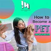How to Become a Pet Influencer