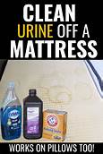 How to Clean Pet Urine from Mattress