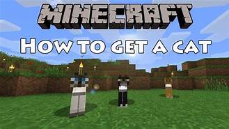 How to Get a Pet Cat in Minecraft