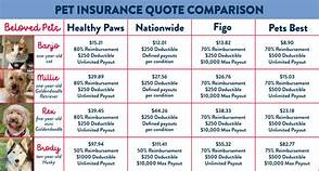 How much is Pet Paradise: Costs, Services, and More
