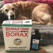 Will Borax Harm Pets?