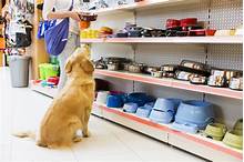 Will Pet Stores Take Unwanted Animals?