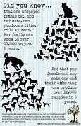 Why Spay and Neuter Pets