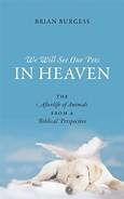 Will We See Pets in Heaven?
