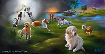 Will You See Your Pets in Heaven?